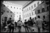 L'Effimero e L'Eterno – Piazza Salimbeni Siena L'Effimero e L'Eterno – Piazza Salimbeni Siena
